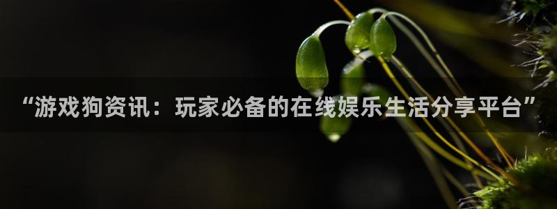 杜邦娱乐下载：“游戏狗资讯：玩家必备的在线娱乐生活分享平台”