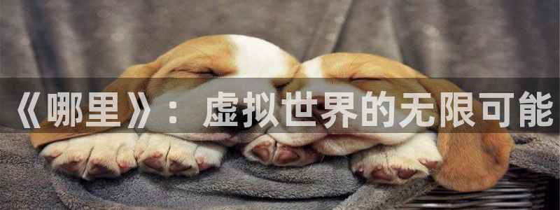 杜邦娱乐app下载地址：《哪里》：虚拟世界的无限可能