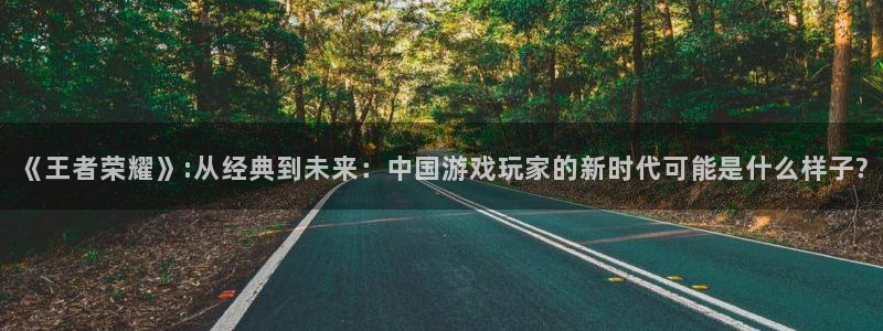 杜邦娱乐怎么注册：《王者荣耀》:从经典到未来：中国游戏玩家的