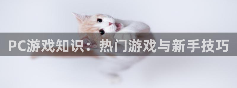 杜邦娱乐平台注册：PC游戏知识：热门游戏与新手技巧