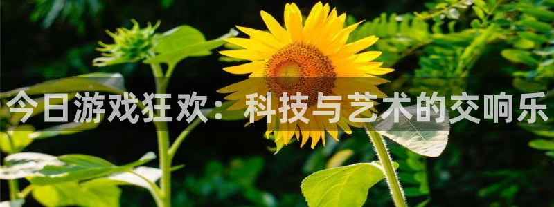 杜邦娱乐Ii
