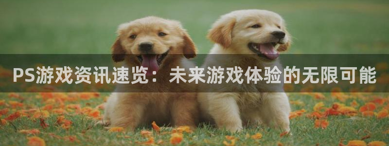 杜邦娱乐app下载|下载地址：PS游戏资讯速览：未来游戏体验
