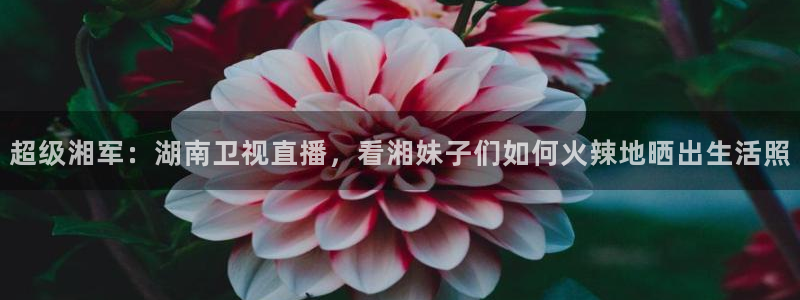 搜球直播吧