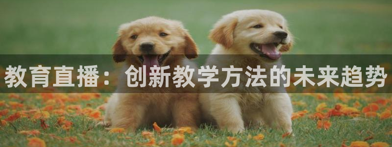 搜球吧体育直播：教育直播：创新教学方法的未来趋势