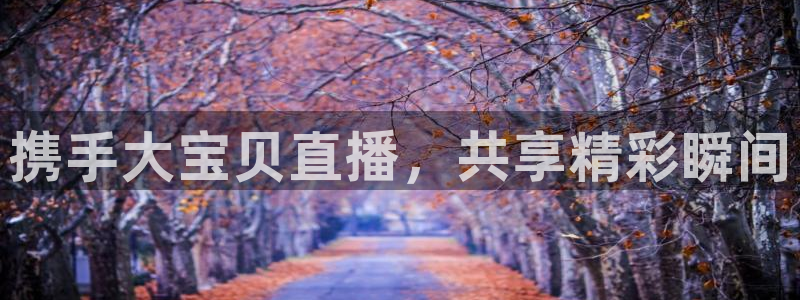 搜球吧直播网：携手大宝贝直播，共享精彩瞬间