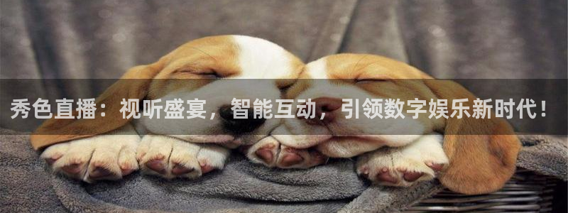 搜球吧直播nba直播：秀色直播：视听盛宴，智能互动，引领数字娱乐新时代！