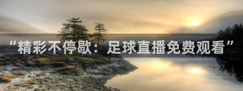 搜球吧 直播：“精彩不停歇：足球直播免费观看”