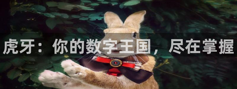 搜球吧在线直播nba：虎牙：你的数字王国，尽在掌握