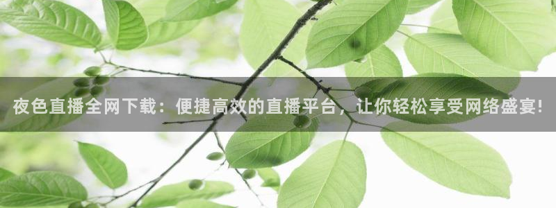 搜球吧手机直播nba直播：夜色直播全网下载：便捷高效的直播平台，让你轻松享受网络盛宴!