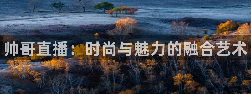 搜球体育直播：帅哥直播：时尚与魅力的融合艺术