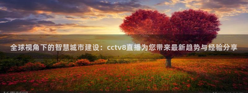 搜球吧直播：全球视角下的智慧城市建设：cctv8直播为您带来最新趋势与经验分享